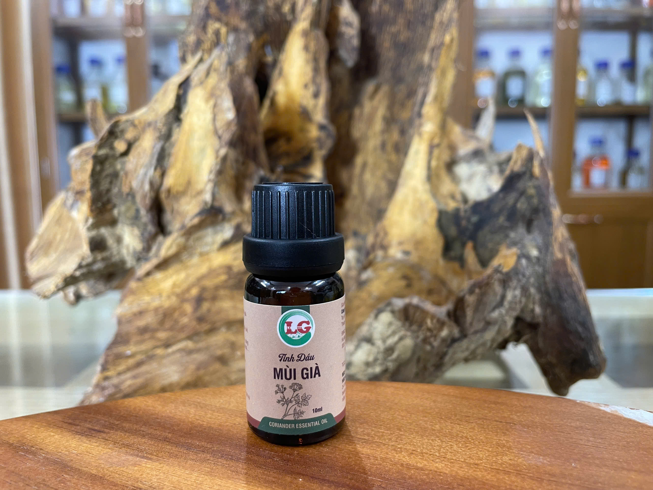 z7595018490017_f87826062b6b17b80e0830dc7cddd126